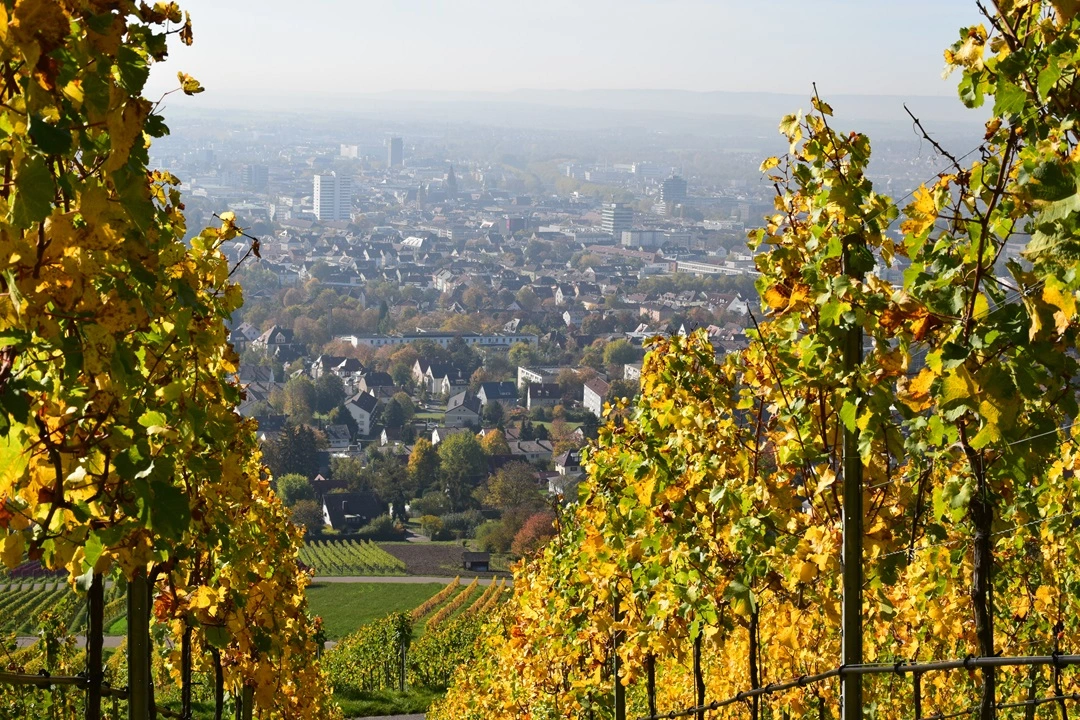 Blick auf die Hochzeitslocation Heilbronn